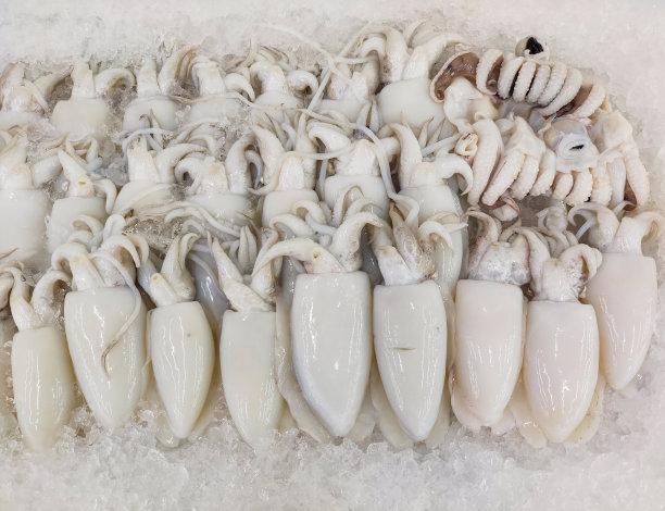 小心翼翼地把迷人的墨鱼放在冰冷的盘子里，它们彩虹般的身体反射着空灵的光芒。当托盘变成迷人的水景时，冻住了。近距离图片下载