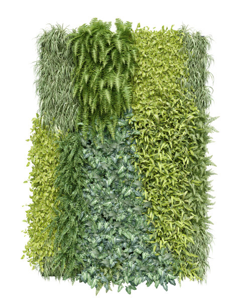 逼真的垂直花园。图片下载