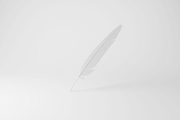 白色羽毛笔在白色背景单色和极简主义。说明写作、信件、合同、文件和沟通的概念图片下载