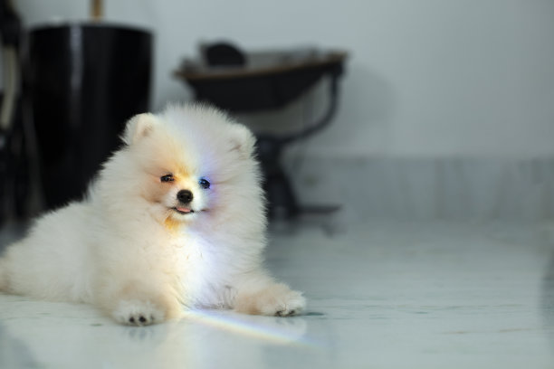 彩虹色的光折射了图片下载