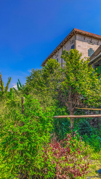 白天房子前面的景色图片下载