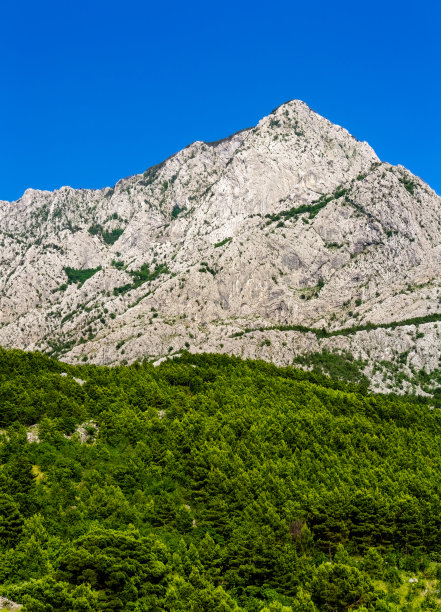 山前有绿色的森林图片下载