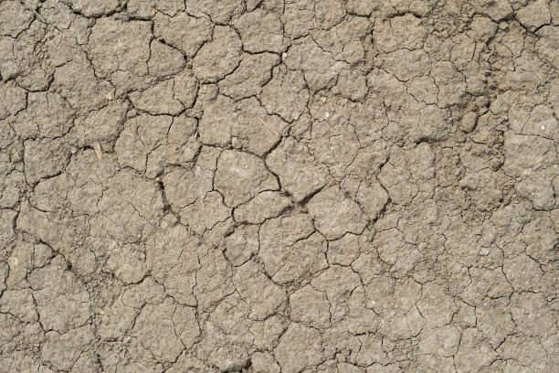 干裂的土壤，纹理，俯视图。图片下载