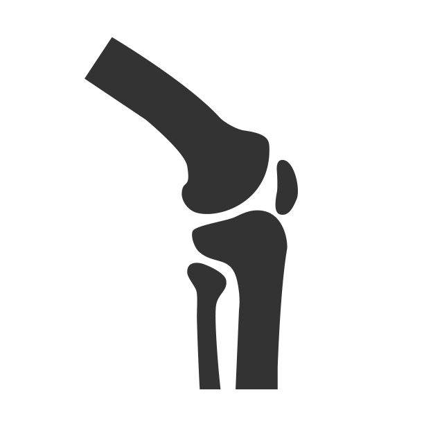 关节图标符号。优质的隔离膝盖元素在时尚的矢量风格图片下载