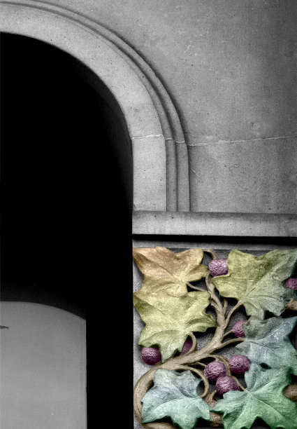 窗边秋花细枝末节图片下载