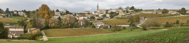 圣埃米利翁全景。阿基坦的农业。法国图片下载