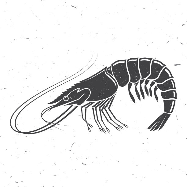 虾的图标轮廓。矢量插图。白色背景上的老式单色虾。大虾。用于海鲜会徽、招牌、贴片、衬衫、菜单餐厅、鱼市、商店、标签、不干胶。图片下载