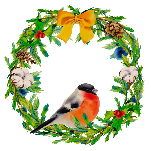 大灰雀新年花环，孤立背景水彩插画，家居装饰。图片下载