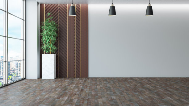 没有家具的客厅，空墙和绿色植物图片下载