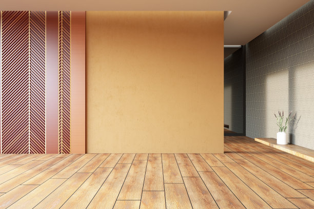 没有家具的客厅与空墙图片下载