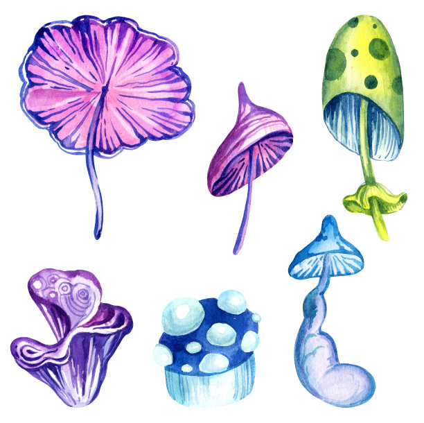 奇妙的宇宙蘑菇和白色背景上的水彩画组成，手绘插图与神奇的彩色植物，霓虹灯的颜色图片下载