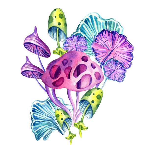 奇妙的宇宙蘑菇和白色背景上的水彩画组成，手绘插图与神奇的彩色植物，霓虹灯的颜色图片下载