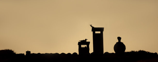 一只鸽子的剪影栖息在烟囱顶上，屋顶的瓦片上有树枝和植被，在夕阳的橙色微光下。图片下载