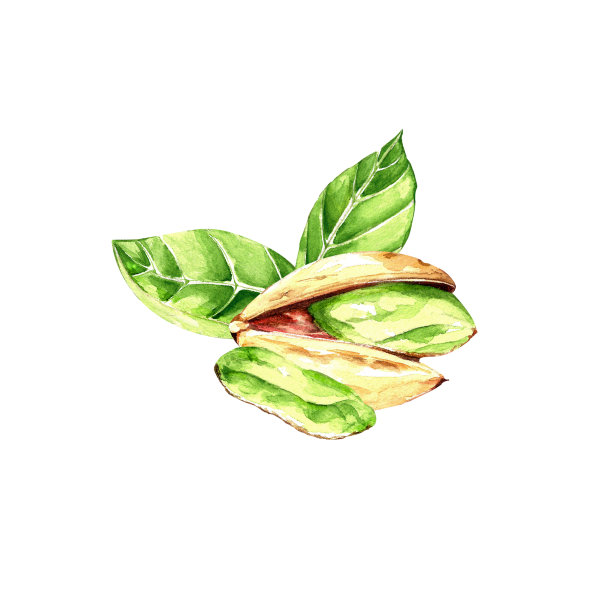 一组水彩元素。东方装饰，珠宝。灯具，手镯，东方香料，东方集市。设计图片下载