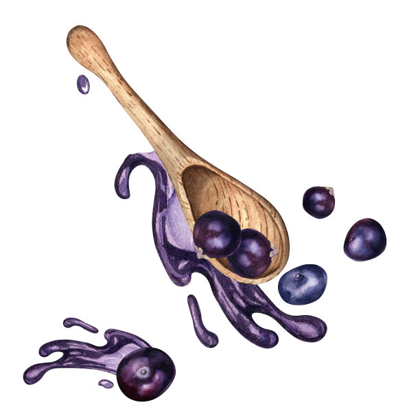 巴西莓在木勺和果汁飞溅水彩插图孤立的白色。奇异的亚马逊小紫色浆果悬浮手绘。包装、食谱、配方的设计元素图片下载