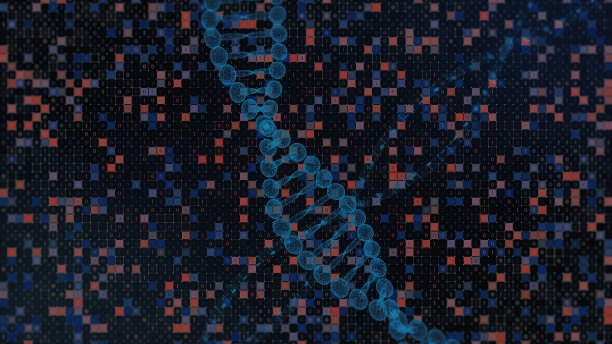 针对二进制代码的DNA模型图片下载