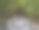 马来西亚兰卡威的红树林图片下载