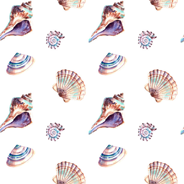 贝壳的图案。水彩插图。拼贴画。海洋动物。海洋的居民图片下载
