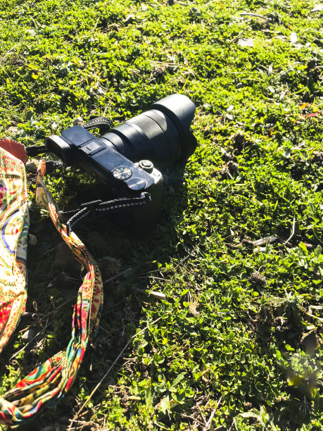 在草坪上用照相机拍摄的户外照片图片下载