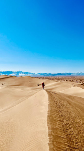 一个人自信地大步穿过一片由起伏的沙丘组成的广阔沙漠景观图片下载