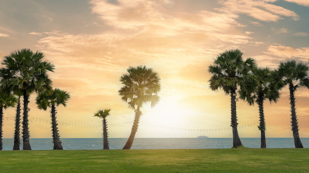 日落或日出为夏季背景与剪影的棕榈树，美丽的阳光红色黄金小时天空上的热带蓝色的大海，旅游度假放松时间或海滩度假婚礼聚会图片下载