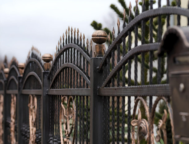 锻铁栅栏。图片下载