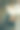 两只可爱的白色杰克罗素梗狗的肖像。侧视图垂直照片图片下载