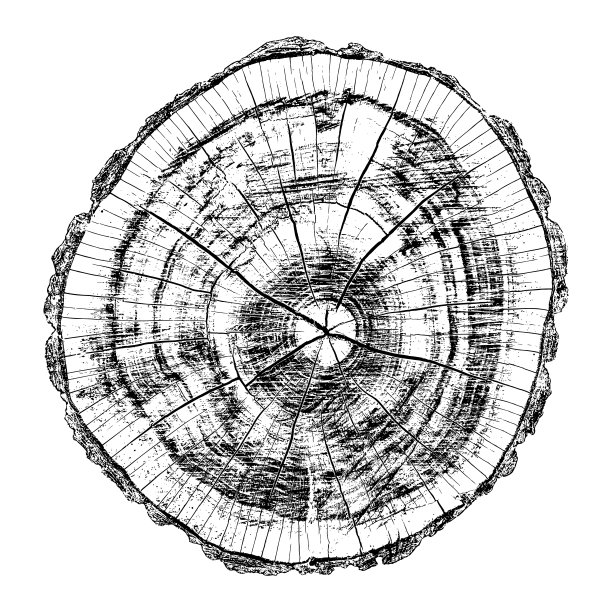 木材纹理图片下载