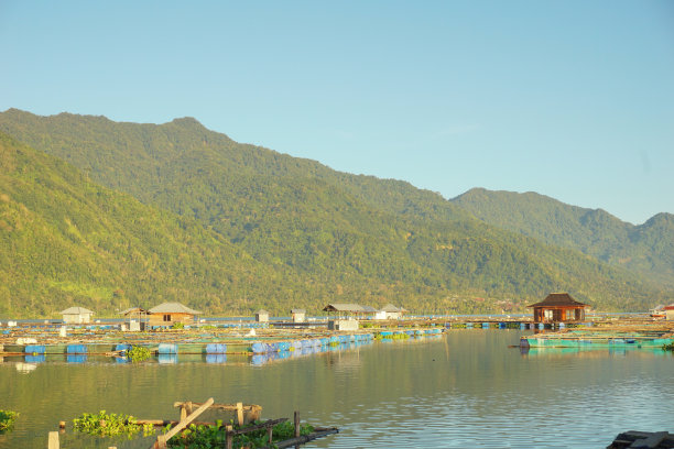 平静的气氛在一个炎热的早晨，在一个湖和绿色的山丘与罗非鱼养殖区图片下载