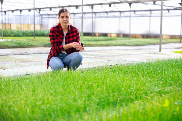 温室里拿着洋葱芽的女园丁图片下载