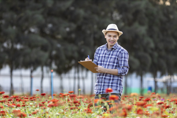 一位亚洲园丁在他的农村农场种植草药和切花时，正在用剪贴板记录红百日菊的生长和健康状况图片下载
