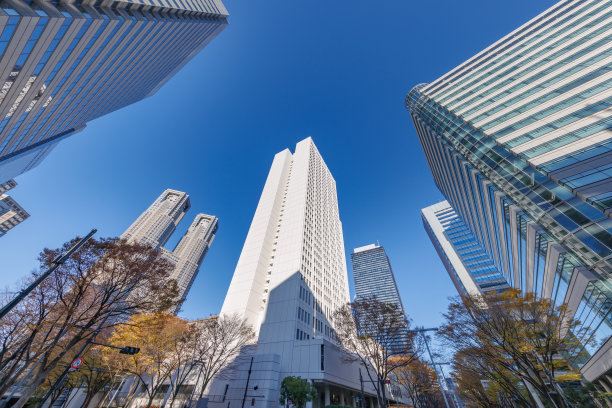 东京的建筑和秋叶的树木图片下载