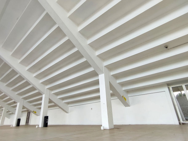 美丽的线条天花板图案透视视图图片下载