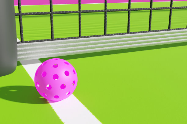 Pickleball游戏。球场上靠近球网的运动用球。三维渲染图片下载