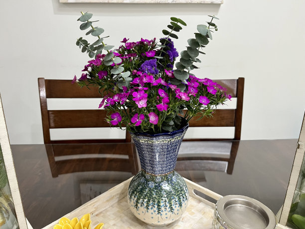 酒红色石竹花束图片下载