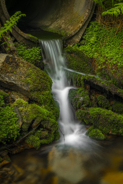 在Erzgebirge山脉的大密特卫达溪，夏天有管道下的小路图片下载