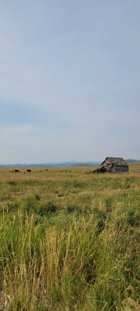 牧场里的旧谷仓(1)图片下载