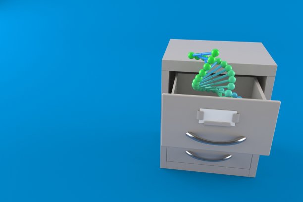 档案内的DNA图片下载