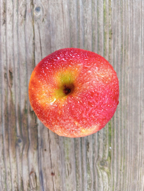 红苹果溅湿水面图片下载