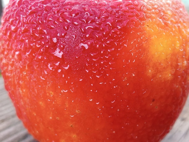 特写新鲜红苹果图片下载