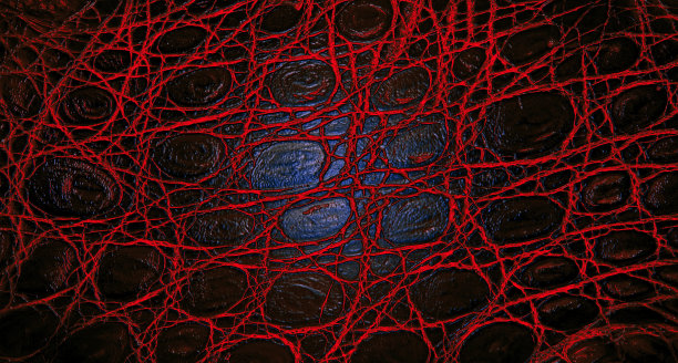 彩色纹理的天然鳄鱼皮。鳄鱼皮的背景。图片下载