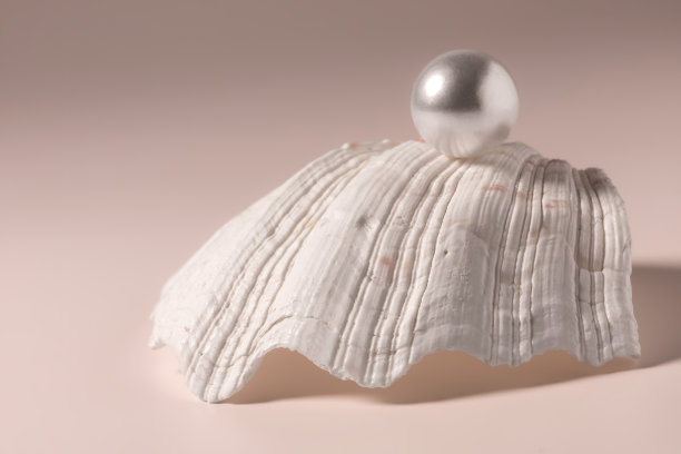 美丽的珍珠贝壳图片下载