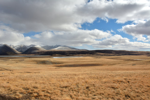 在一个多云的秋日里，雪山脚下是一片平坦的大草原，草地上长满了枯黄的草。图片下载
