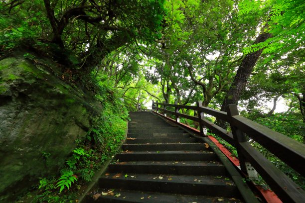 济州岛著名的旅游景点天井瀑布图片下载