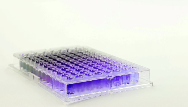 一种含有紫色物质稀释物的96孔实验室培养皿。临床试验和诊断试验的概念。图片下载