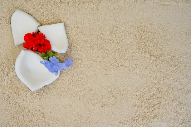 椰子与芙蓉花在沙滩上为您的夏季背景设计。图片下载