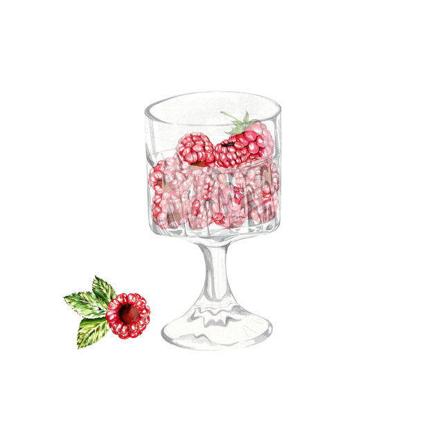 一组水彩元素。多汁的覆盆子和叶子。用于明信片和设计图片下载