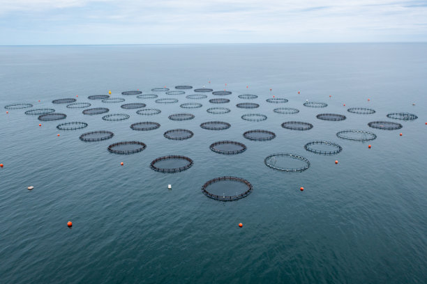 无人机观看海上养鱼场图片下载