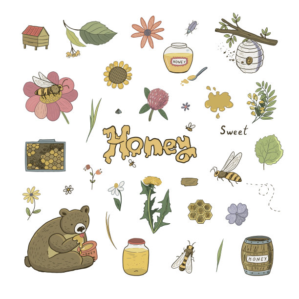 蜜蜂，蜂蜜和熊矢量插图集。图片下载
