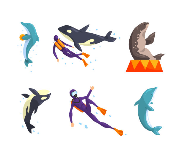 海洋馆或海豚馆与海洋动物和训练师表演特技矢量集图片下载